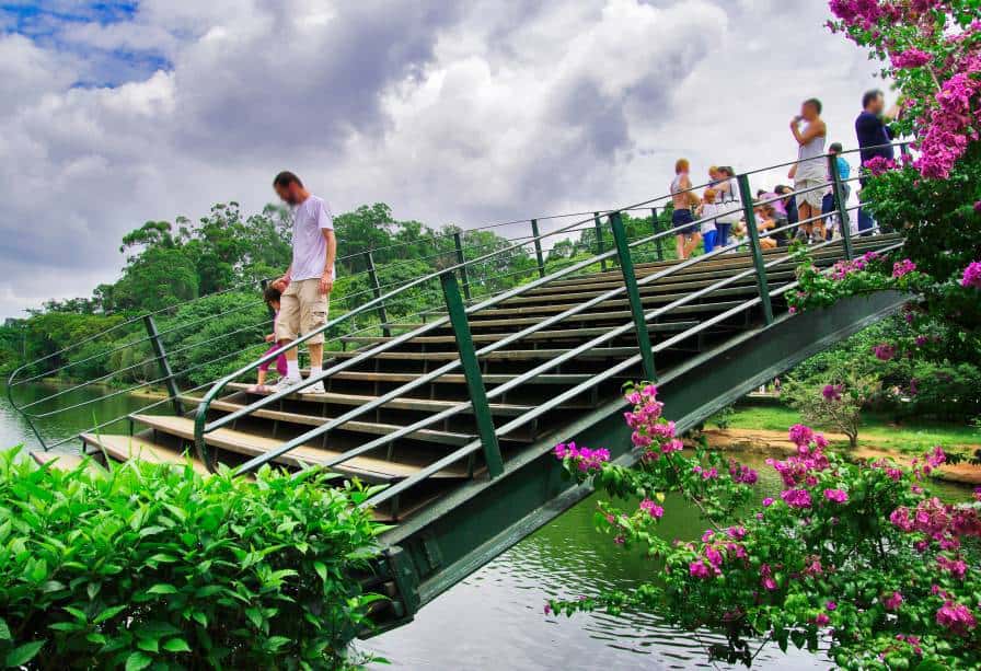 Atividades para Idosos no Parque do Ibirapuera