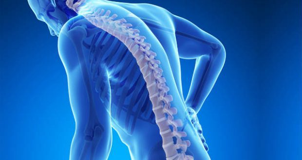 Osteoporose, como evitar seus males?