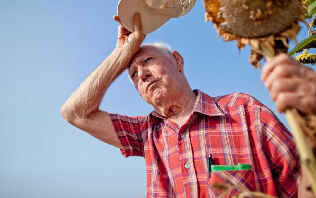 Dicas Para Lidar com o Calor na Terceira Idade